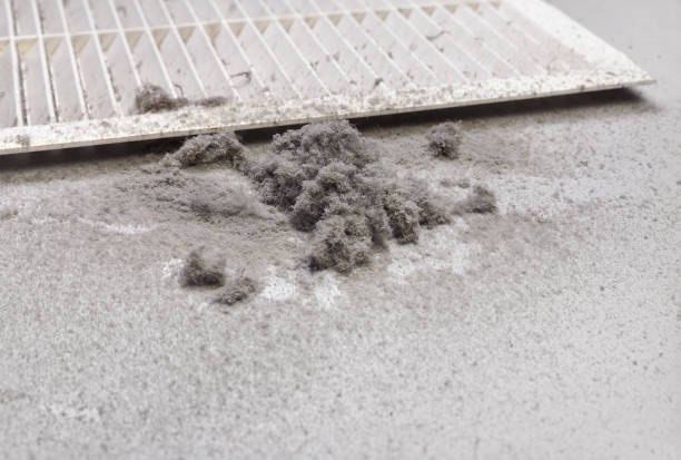 Best Affordable HVAC Duct Cleaning  in Olivet, MI