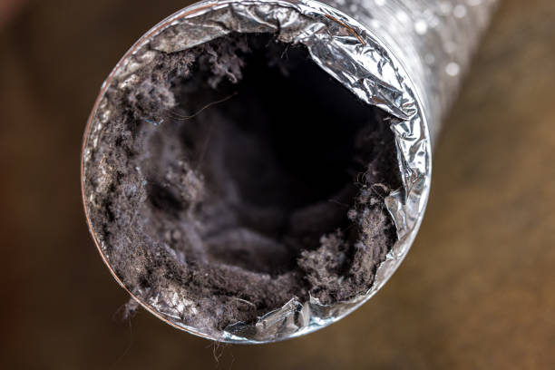 Best Affordable Duct Cleaning Services  in Olivet, MI