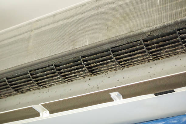Best Dryer Vent Cleaning Services  in Olivet, MI